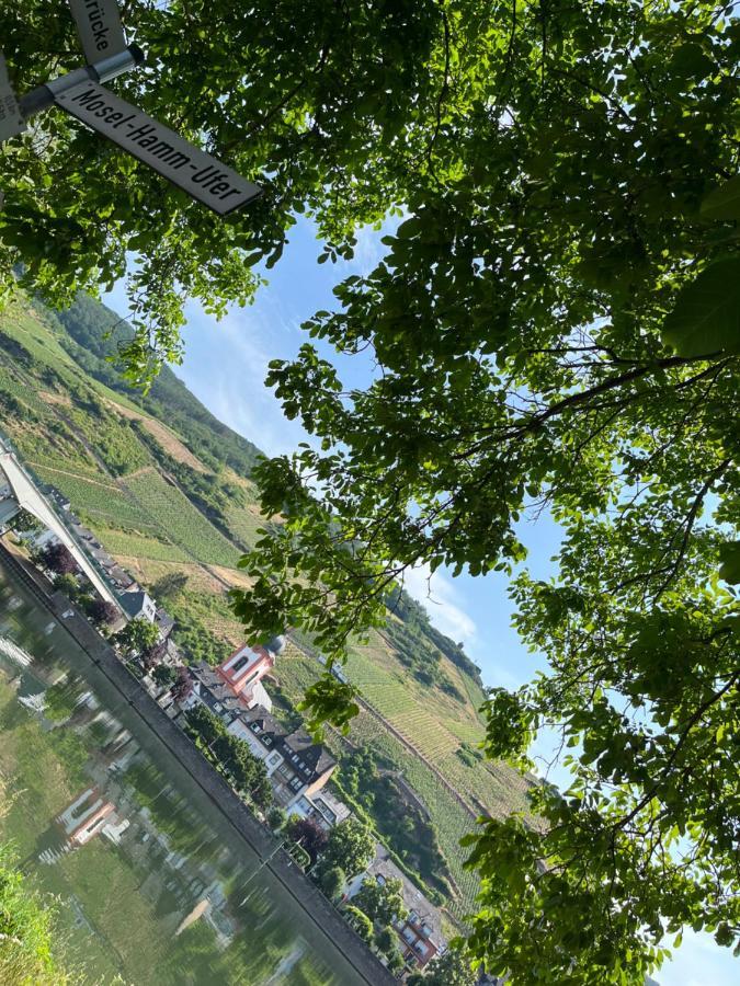 Ferienhaus Ankerpunkt Zell an der Mosel Zewnętrze zdjęcie