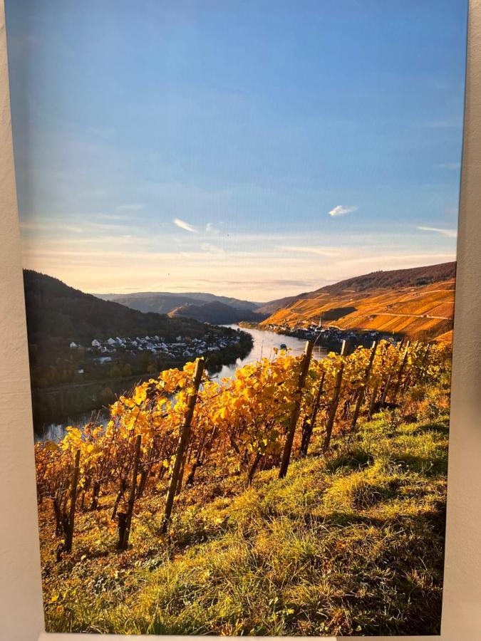 Ferienhaus Ankerpunkt Zell an der Mosel Zewnętrze zdjęcie